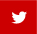 This icon serves as a link to the TTUHSC El Paso Twitter page.